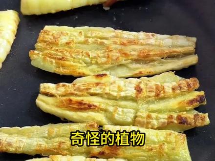 最奇怪的植物! 最奇怪的植物!