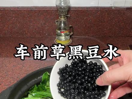 潮汕人夏天常熬的乌豆车前草凉茶#潮汕#潮汕美食 #黑豆车前草凉茶