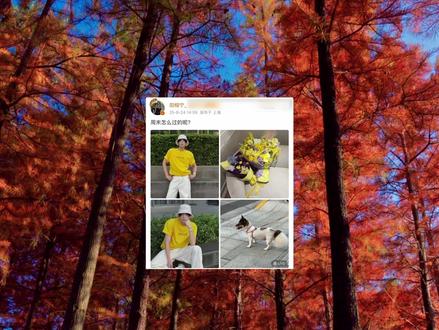 周末怎么过呢?秋日周边游,选隆阳!
#秋日生活打卡季 #田栩宁 #治愈系风景 #都说秋天适合想念其实更适合见面 #旅行推荐官