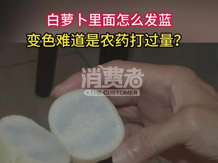 白萝卜里面发蓝,难道是农药打过量?业内:白萝卜不需要打药,根本原因是......#白萝卜 #白萝卜种植 #科技与狠活