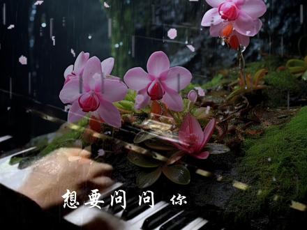 #刘若英《为爱疯狂》想要问你敢不敢,你曾经说过的那样爱我#老歌回顾 #一首好听的歌分享给大家