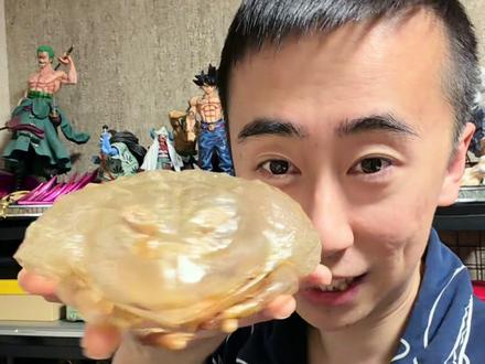 冬眠 ?你见过牛蛙穿马甲么?#随拍#非洲牛蛙