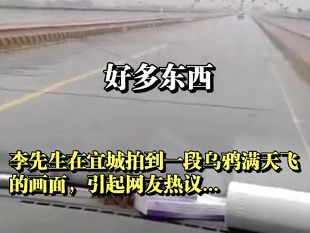 乌鸦满天飞是不祥之兆?专业人士哭笑不得:人家就是找口吃的.