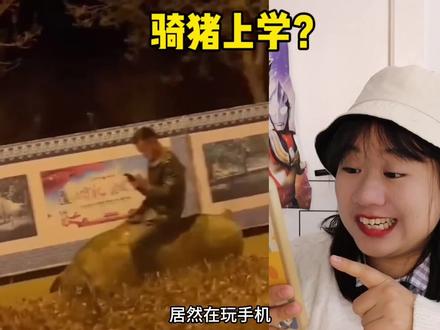 沙雕小伙子骑猪上学,还有骑鸵鸟,奇葩坐骑真搞笑