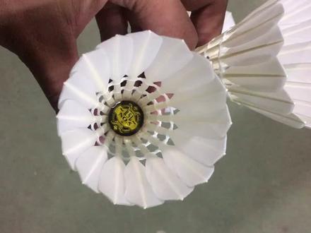 不再是单纯的鹚鸪鸭大方了。这个是豚鸭全圆了