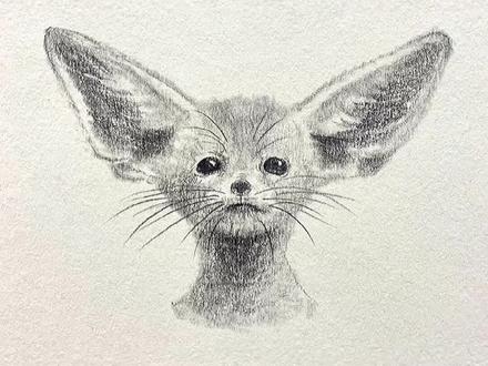 超萌耳廓狐素描教程来啦!#兴趣才艺 #萌知计划 #素描 #动物 #画画 @抖音青少年