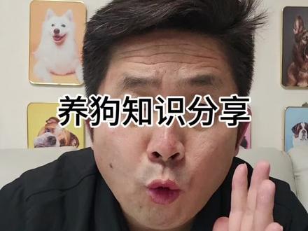 养狗知识分享#养狗知识分享