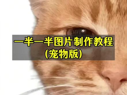 宠物版一半一半图片制作教程来啦!
一半一半图片怎么拼图教程 一半一半图片怎么弄 一半一半p图指令 一半一半照片教程 一半一半豆包指令 一半一半图片豆包p图 一半一半图片无缝衔接 #一半一半 #记录我的一半一半 #一半一半照片教程 #豆包ai #豆包P图已经nextlevel了