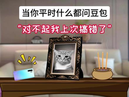 《当你平时什么都问豆包》 #猫meme #豆包 #搞笑 #胡说八道 #抽象
