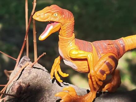 【开箱】虎皮迅猛龙
来,这次上山找我们的老朋友,一只虎皮花纹的迅猛龙,他不仅嘴巴能张开手脚能活动,身躯也能大幅度扭动
#美泰 #侏罗纪 #恐龙 #玩具 #开箱