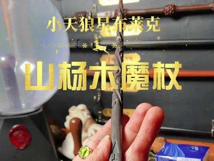 魔杖大百科#哈利波特 #魔杖介绍 小天狼星布莱克
