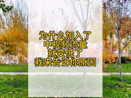 知道为什么参加了中视频流量就变低了吗?我来告诉你原因#中视频伙伴计划 #自媒体 #短视频创业 #短视频 #如何加入中视频计划