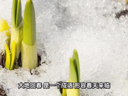 今日学习成语#科普知识 #大地回春