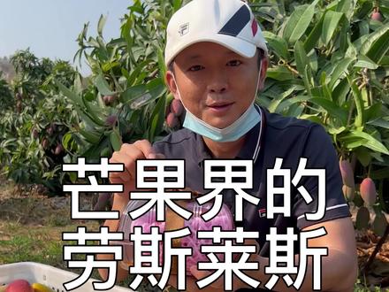 身价如此高不可攀的太阳之子,到底值不值?#贵妃芒#太阳之子芒果#春日轻食季 #抖in全民健康计划 #太阳之子芒果