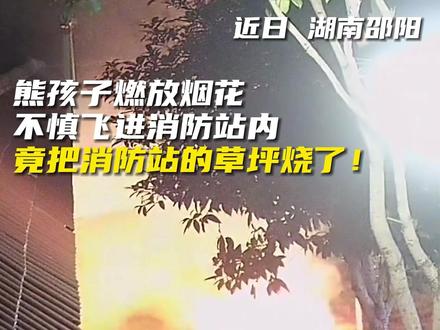 #奇闻 熊孩子放烟花,竟然把消防队的草坪给烧了!!?#年年岁岁护你平安 #温暖平安过大年#中国年长沙味 @邵阳消防
