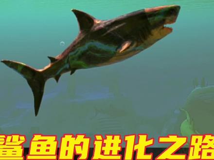 #游戏 #单机游戏 #海底大猎杀 鲨鱼的进化之路!