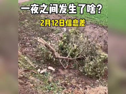 2月12日社会热点信息差#社会百态真实事件