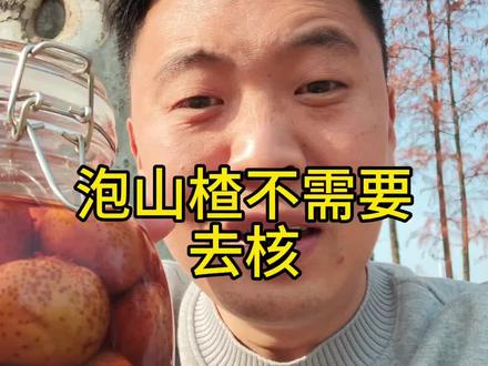 泡山楂酒,你去核了吗?评论区聊一聊。#山楂酒 #果酒 #果酒制作方法 #真实生活分享计划