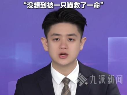 1月28日报道,贵州贵阳,#店老板喂流浪猫躲过高坠花盆 :员工在二楼修灯无意间碰到,没想到被一只猫救了一命。