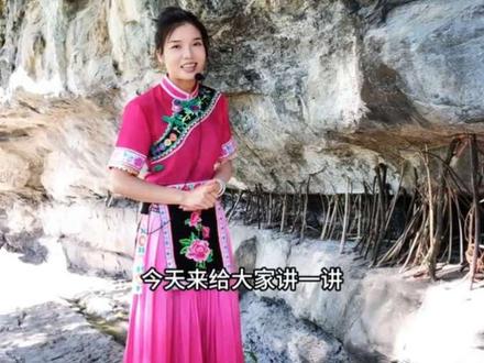 常常撑在山体的树棍是什么?#兴文石海 #向导#科普 #撑腰棍#兴文石海阿榕