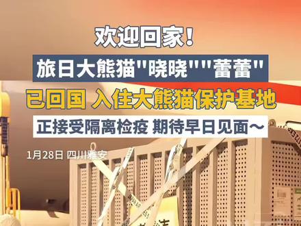 欢迎回家!旅日大熊猫“晓晓”“蕾蕾”已回国,入住大熊猫保护基地,正接受隔离检疫,期待早日见面~#晓晓蕾蕾