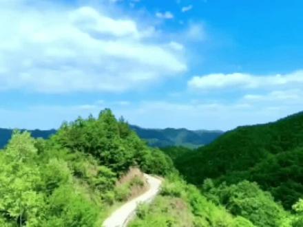 支付宝与微信暂停情况