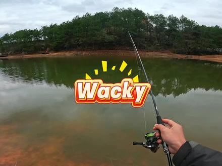 Wacky钓组#鲈钓#无铅钓法 #厚大溪#直柄精细