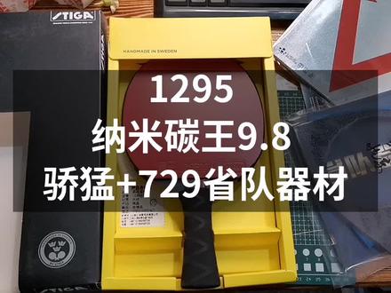 1295,斯蒂卡瑞典原装进口纳米碳王9.8专业底板,729省队器材,骄猛红V。全部正品保证