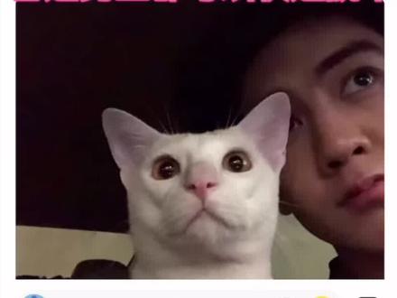 soul最干,最好用的玩法#干货分享 #soul #快速脱单技巧 soul软件的隐藏玩法,普通男生快速脱单