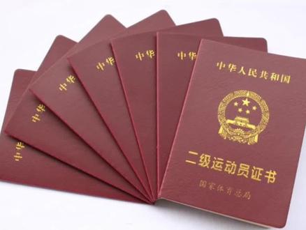 篮球运动员技术等级标准,分5个等级#篮球 #篮球教学 #篮球运动员 #篮球技巧
