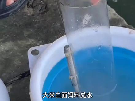 矿泉水瓶钓鱼实践制作