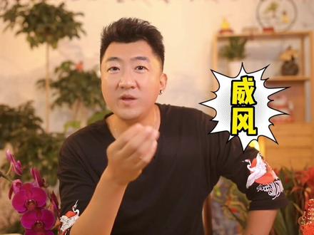 生肖虎和生肖猴#十二生肖 #生肖文化 #生肖 #生肖好运 #国学文化 #生肖婚配