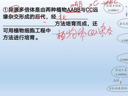 #高中生物#高考 生物变异与育种 典例4