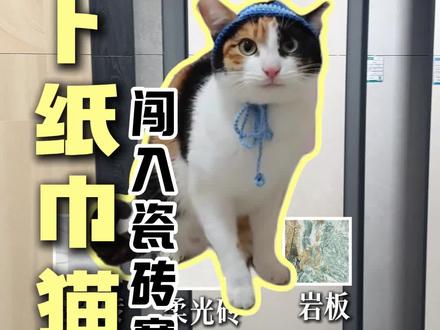 萝卜纸巾猫咪闯入瓷砖赛道!(猫咪素材:@超级无敌大开门 无敌大开门)#萝卜纸巾猫咪逐渐抽象#萝卜纸巾猫咪
#猫咪高智商才艺大赏#福州瓷砖店 #瓷砖