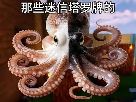 章鱼叔叔来锐评了 #边牧 #塔罗 #塔罗牌 #锐评