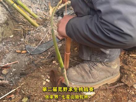 12月11号 安徽道友 快来学,快来看,取火教程 第二届荒野求生极限挑战赛 张家界“七星山骆驼杯”#张家界七星山骆驼杯#老六荒野#荒野求生#荒野生存#张家界七星山