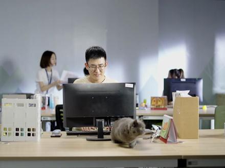 一个视频简单演示深信服亲身实践零信任的效果!深信服零信任,无需多言,唯以亲身实践,落地有声!#网络安全 #零信任