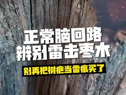 带你见最真实的雷击木,雷击枣木小知识课堂#知识科普 #雷击枣木 #道家文化