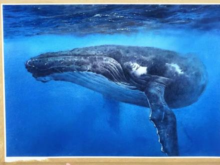 简简单单的画一幅蓝鲸 #水彩 #手绘 #动物 #蓝鲸