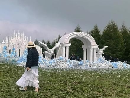 大网红莉哥的求婚现场
