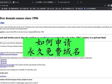 如何申请永久免费的域名,不用担心手动续约的麻烦!太方便了#软件开发 #程序员 #编程 #知识分享 #干货
