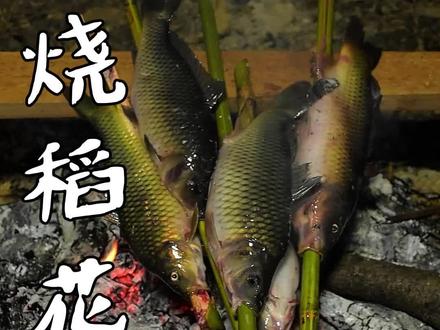 烧稻花鱼 #美食 我们吃稻花鱼不用去鱼鳞、内脏你们敢来挑战吗#地方特色美食 #我的乡村生活