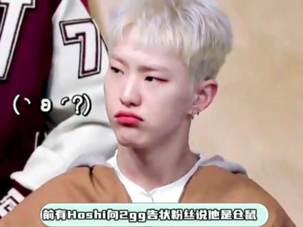 #金珉奎 :哥他们说我是土豆#尹净汉 :打一拳的话你还有番茄酱哎~绷不住了🥔#娱乐评论大赏 #上热搜 #强烈推荐 视频来源于网络~侵删