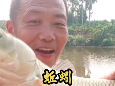 蚯蚓还可以这样妙用! #钓鱼知识