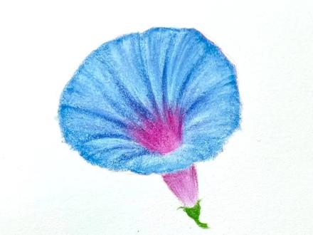 一朵喇叭花送给你#画画 #彩铅 #原创 #一起学画画 #零基础教学 @DOU+小助手