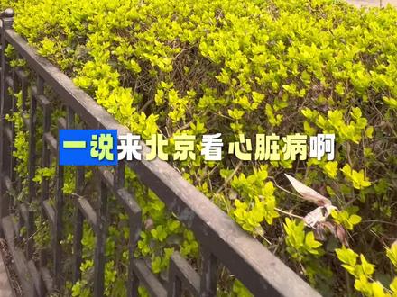 北京阜外医院全攻略分享#北京阜外医院 #北京就医 #真实生活分享 #异地就医 #北京陪诊