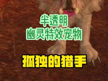 魔兽世界:全面汇总猎人可抓的半透明(幽灵特效)宠物(非灵魂兽)-孤独的猎手-持续更新中-好看又好抓,特效拉风,气质清冷独特#游戏精彩时刻 #魔兽世界 #一起玩游戏 #游戏日常 #怀旧游戏 #wow #实用 #经典游戏 #魔兽青春 #暴雪 #游戏 #猎人 #游戏 #宠物 #收集 #模型 #技能 #坐标 #魔兽世界不再错过 #魔兽 #游戏视频 #攻略 #心得 #魔兽世界正式服 #游戏日常分享 #特效 #欢乐 #游戏梦想家计划 #精彩游戏 #游戏梦想家第二季 #这个游戏很好玩 #三系可抓 #拉风 #酷炫 #狂野宠物 #狼 #孤独的猎手 #半透明 #幽灵特效