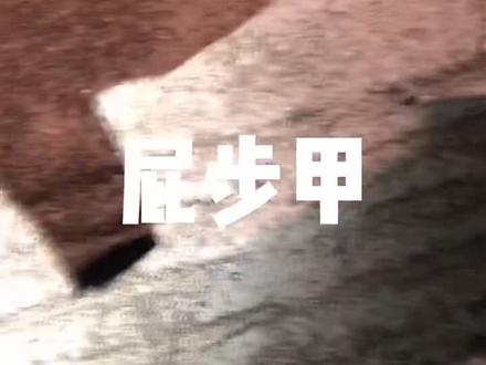#好样说虫子 放屁温度很高的虫子,屁步甲