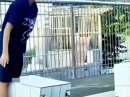 启蒙教练郭艺 万万没想到带出个世界冠军