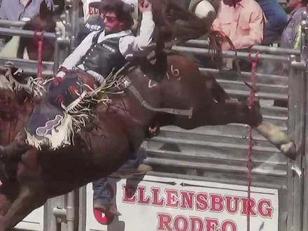 男子作死拍马屁,忽然马蹄向后一蹬,直接被踹飞在地!